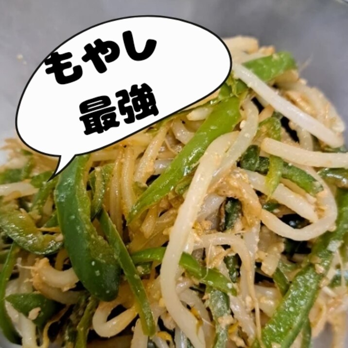 副菜シリーズ☺～もやし炒め